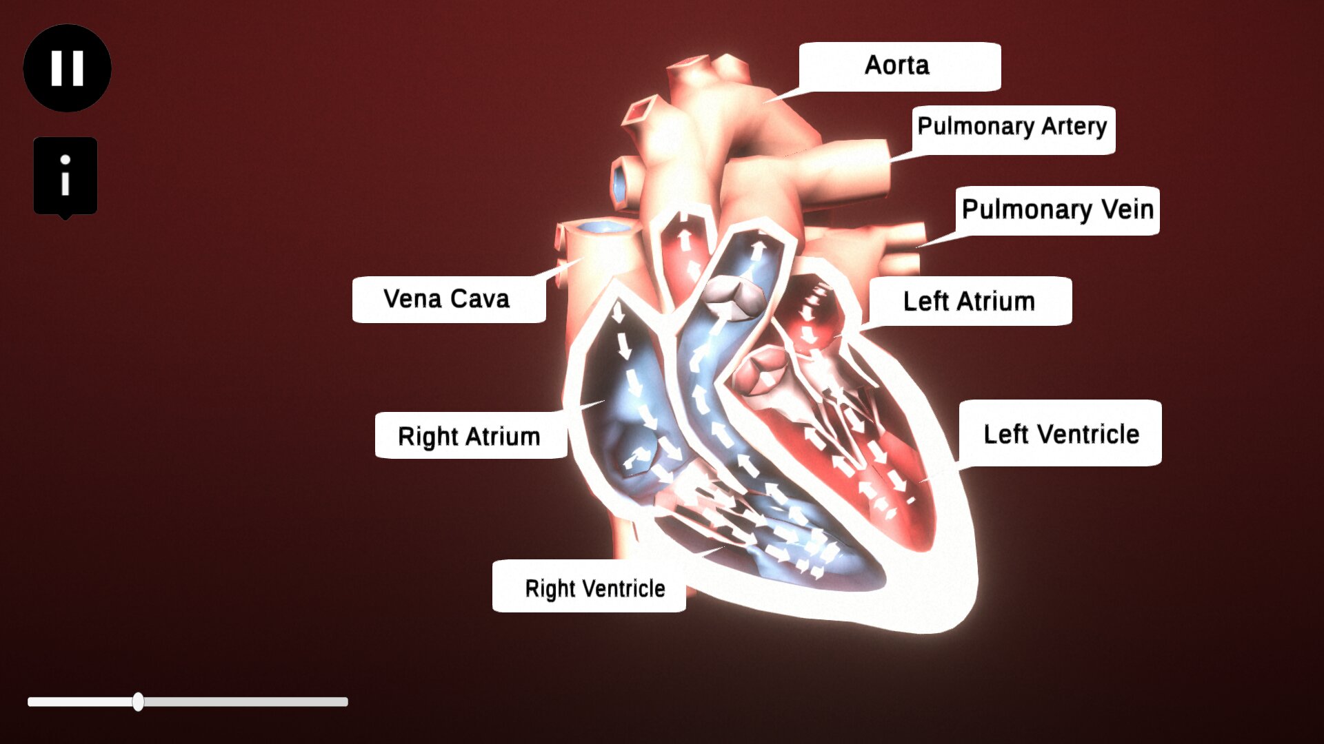 Heart Simulator